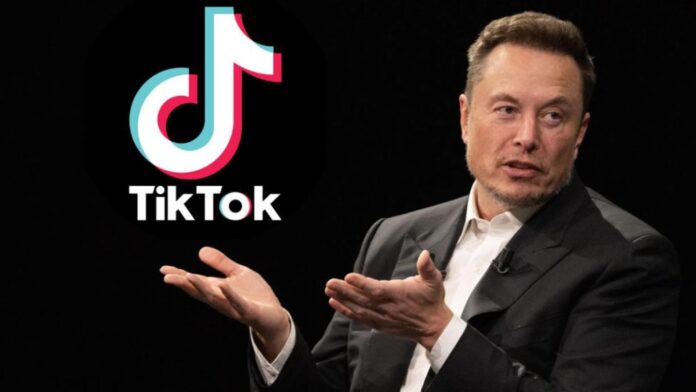 Elon Musk: Is Elon Musk eyeing TikTok? Know possible deals and future plans :